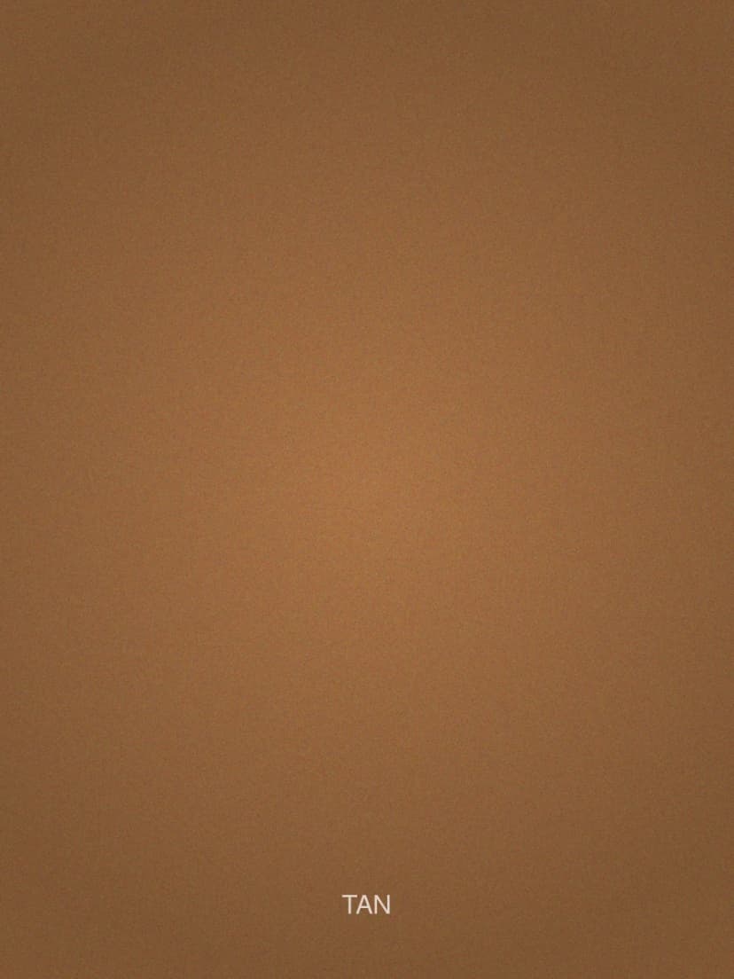 Alder Leather Belt — Tan